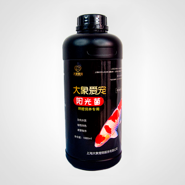 錦鯉-陽光菌（500ml）