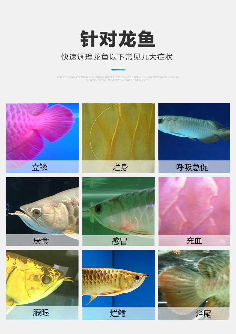 龍魚調理劑