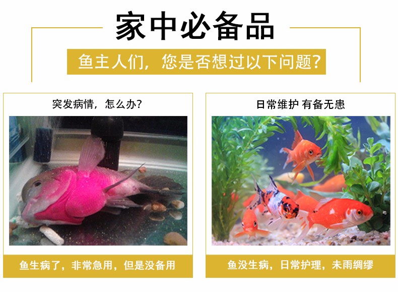 預(yù)防和改善觀賞魚細菌性病癥