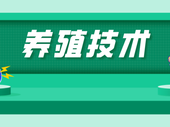 池塘浮綠水 泓寶撥清波