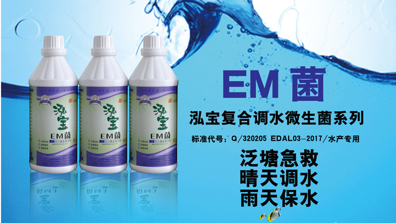 EM菌有什么菌種？泓寶小編為您詳述