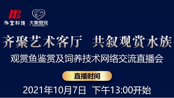 【10.7直播預(yù)告】齊聚藝術(shù)客廳 共敘觀賞水族-網(wǎng)絡(luò)交流直播會(huì)